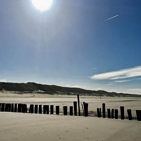 De Duinfazant *