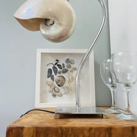 De Duinfazant Vila *