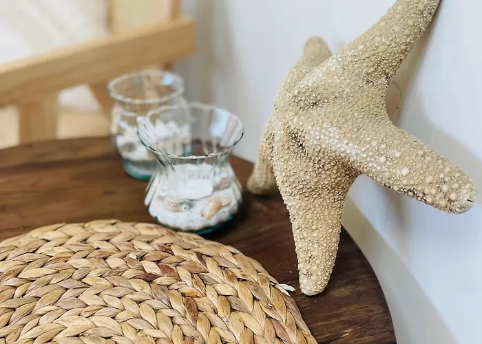 De Duinfazant * Bergen aan Zee