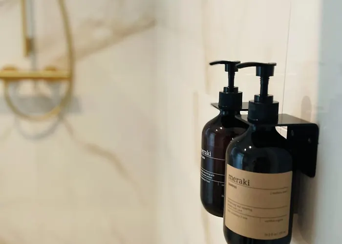 De Duinfazant 빌라 버겐안지