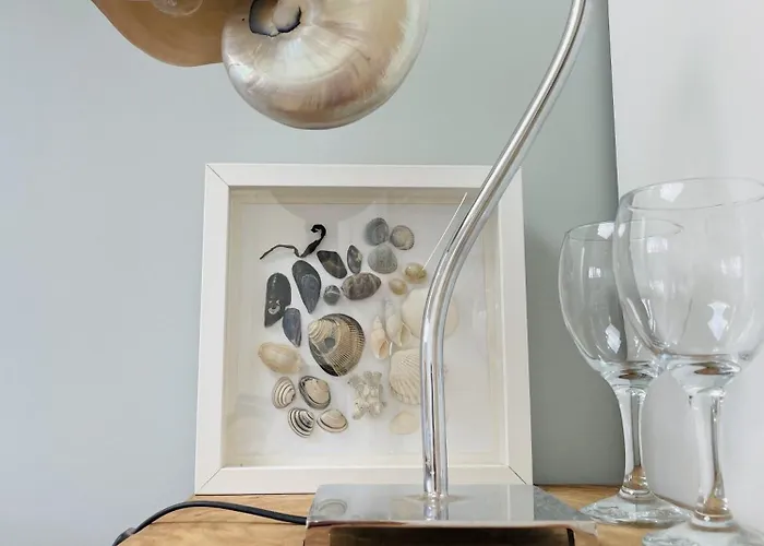 De Duinfazant 빌라 *