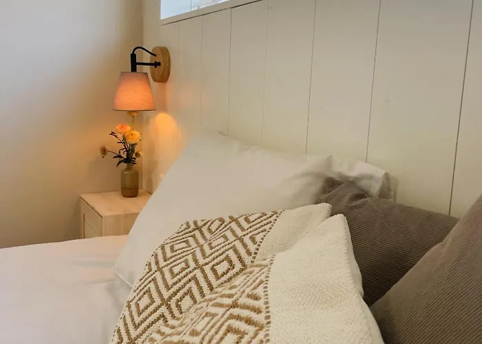 빌라 De Duinfazant *