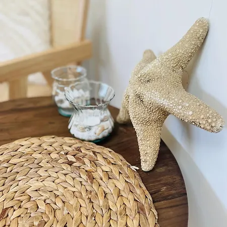 De Duinfazant * Bergen aan Zee